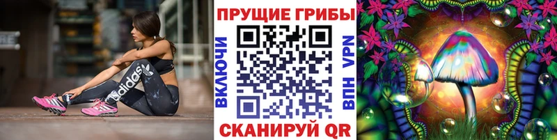 Галлюциногенные грибы Cubensis  где найти наркотики  Донской 