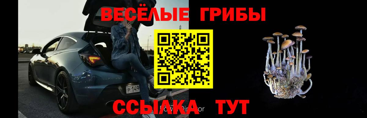 Донской  Псилоцибиновые грибы ЛСД  Вход с VPN 