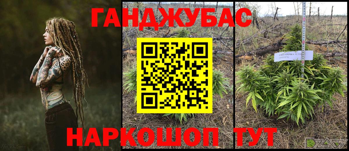 Конопля конопля Донской